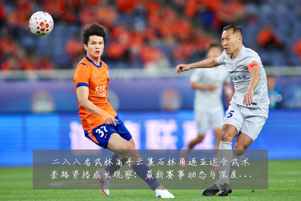 二八八名武林高手云集石林角逐亚运会武术套路资格成长观察:最新赛事动态与深度分析